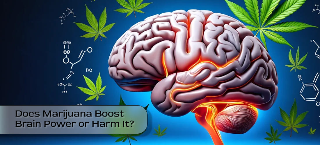 Bright green cannabis leaf overlaid on a human brain illustration