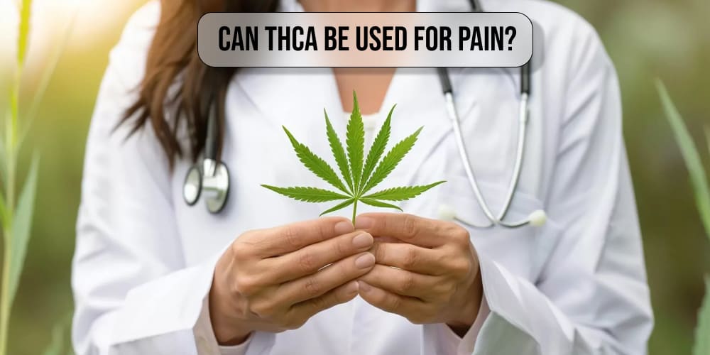Can THCA be used for pain