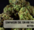 Comparison CBD, CBN and THCA - Which is Better for Sleep