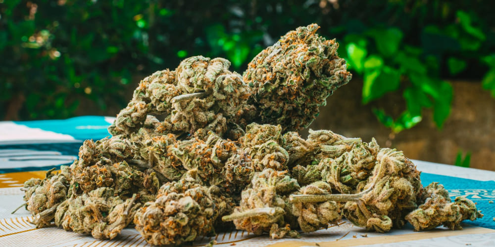 What is stronger - THCA or THC-P