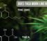 Does THCA work like regular THC