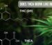 Does THCA work like regular THC