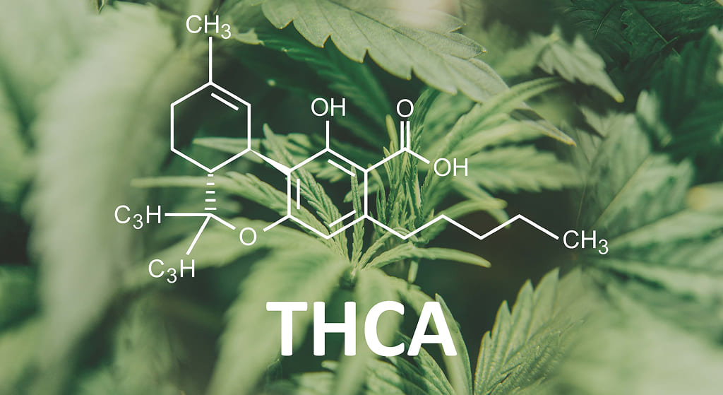 Bright green cannabis leaves with the large white text "THCA" and its chemical structure prominently displayed.