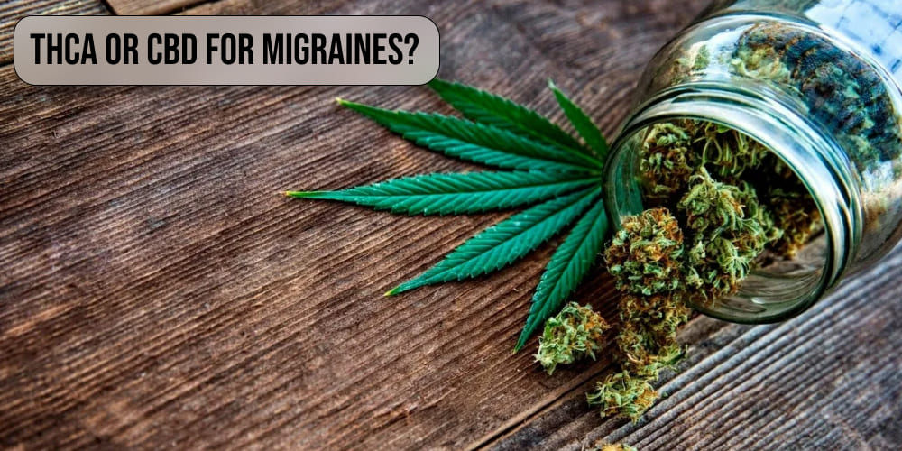 THCA or CBD for Migraines