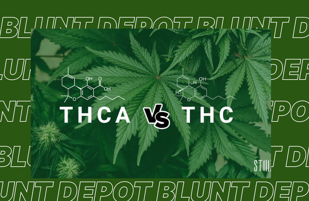 A visual comparison showing the chemical structures of THCA and THC side-by-side with cannabis leaves in the background.