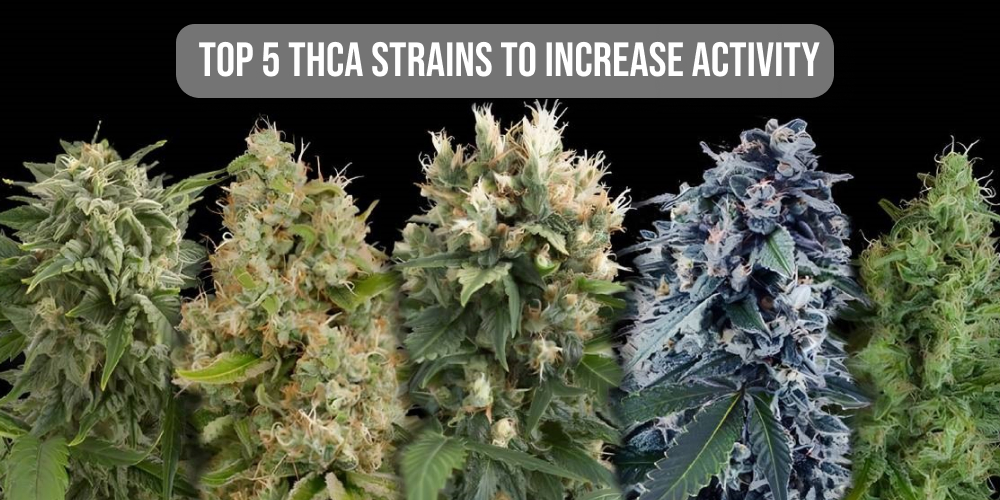 Top 5 THCA strains to increase activity