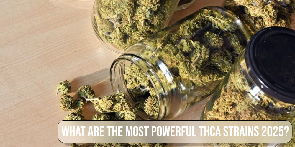 What are the most powerful THCA strains today