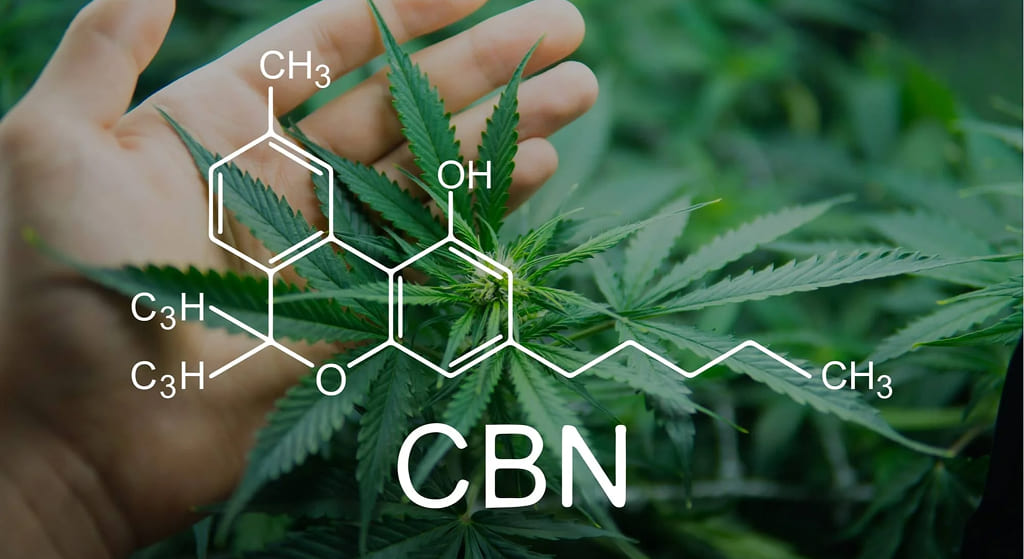 The molecular structure of CBN overlaid on cannabis leaves.