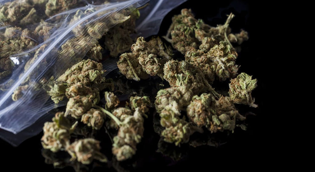 dried cannabis buds in an open bag on a black background