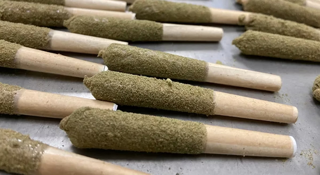 A close-up photo of several pre-rolled joints, each coated with a fine green powder. They are arranged in rows on a surface.