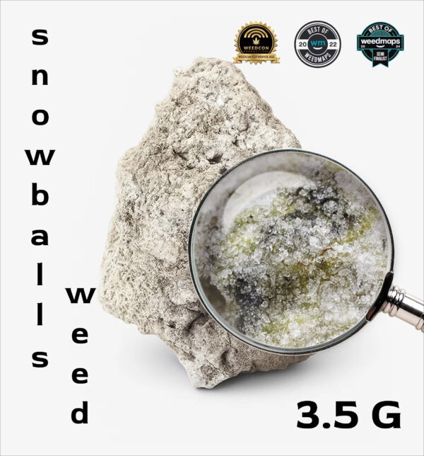 Snowball Weed APE 3.5G cannabis flower covered in kief and concentrate – high THC premium strain