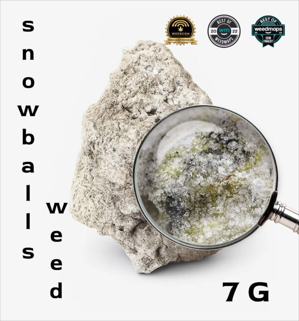 Snowball Weed APE 7G cannabis flower coated in kief and concentrate — high THC premium strain