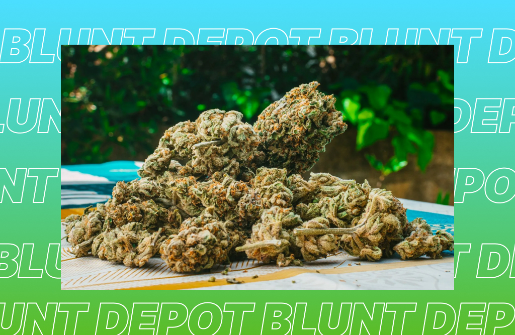Denver: best THCA flower for 2025