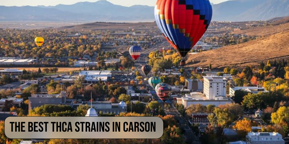 The best THCA strains in Carson