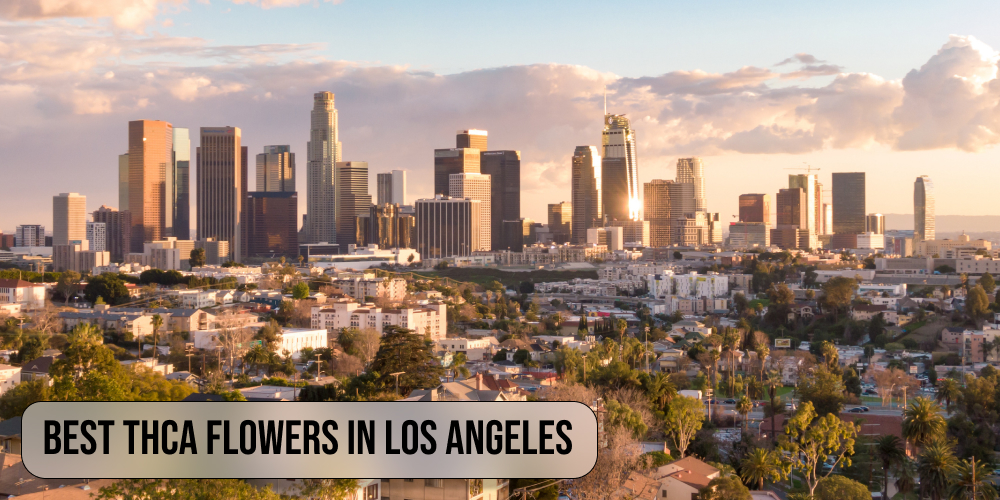 Best THCA flowers in Los Angeles
