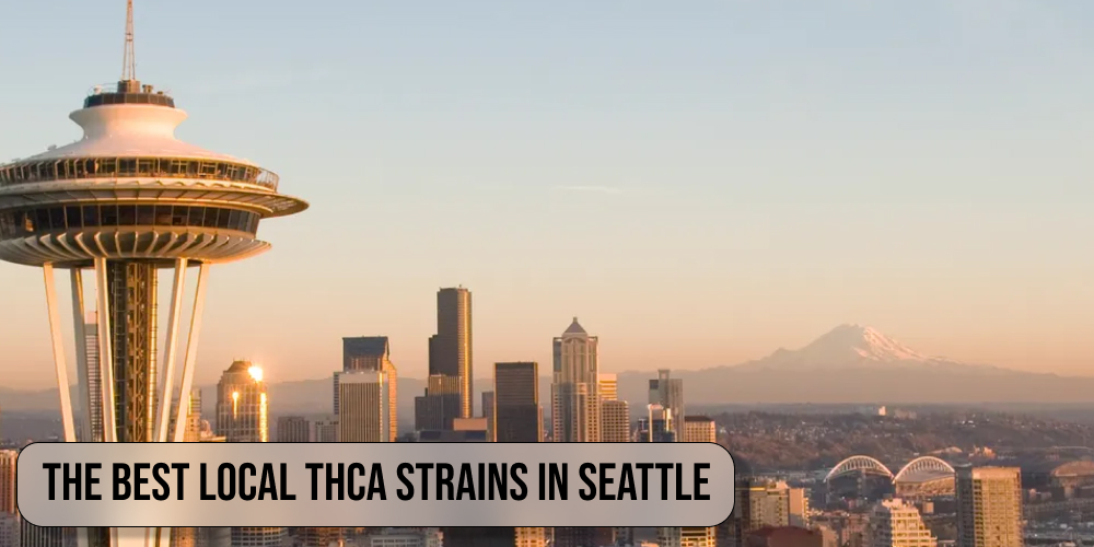 The best local THCA strains in Seattle