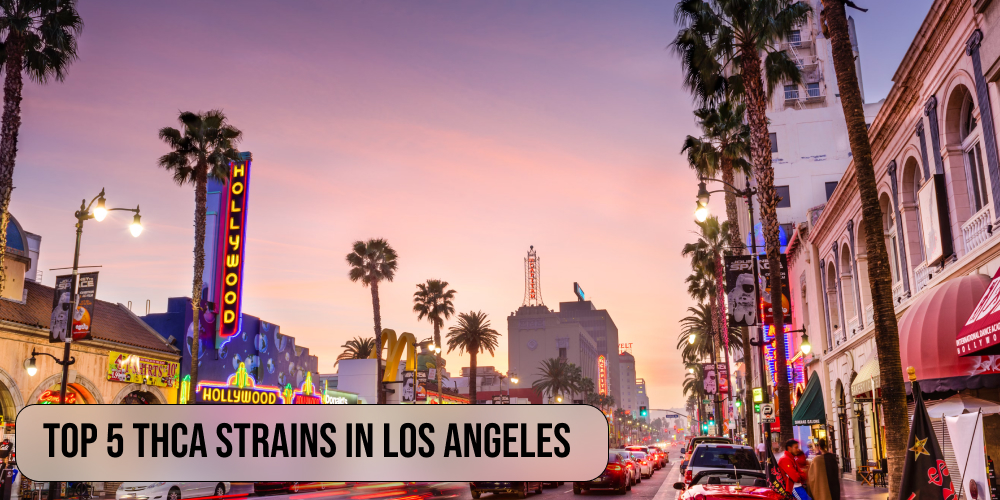 Top 5 THCA strains in Los Angeles