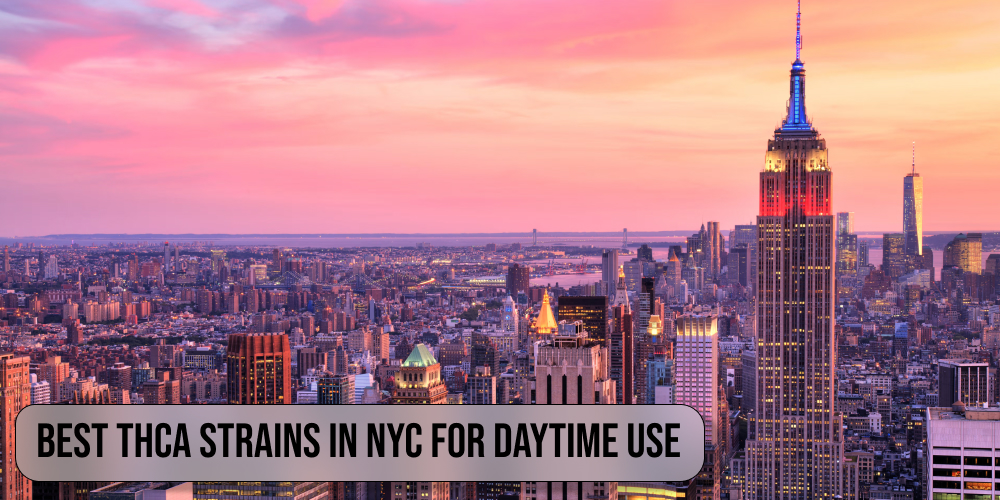 Best THCA strains in NYC for daytime use