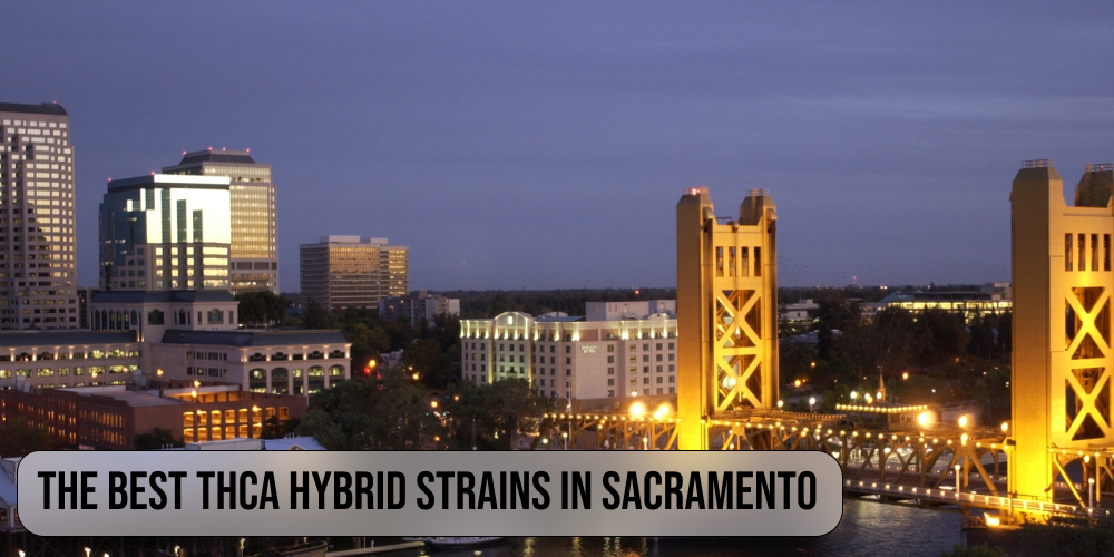 The best THCA hybrid strains in Sacramento