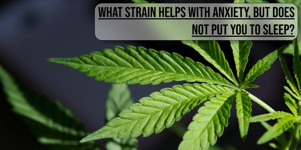 What strain helps with anxiety, but does not put you to sleep