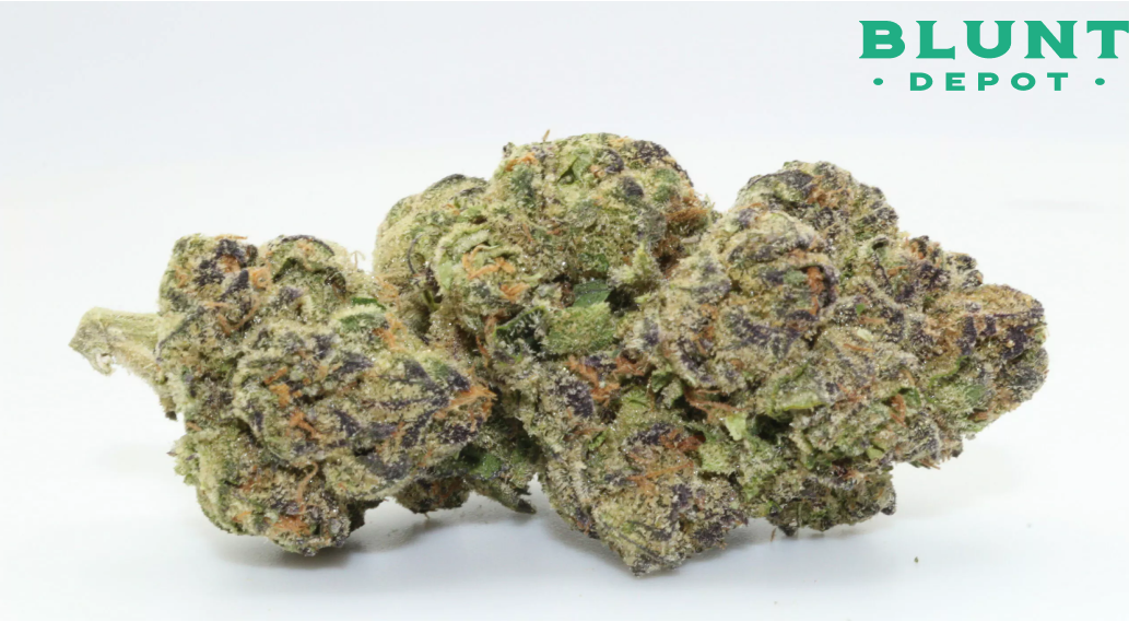 A close-up shot of two light green and purple cannabis buds.