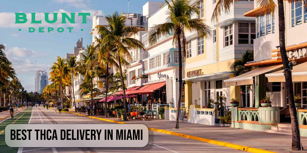 Best THCA delivery in Miami
