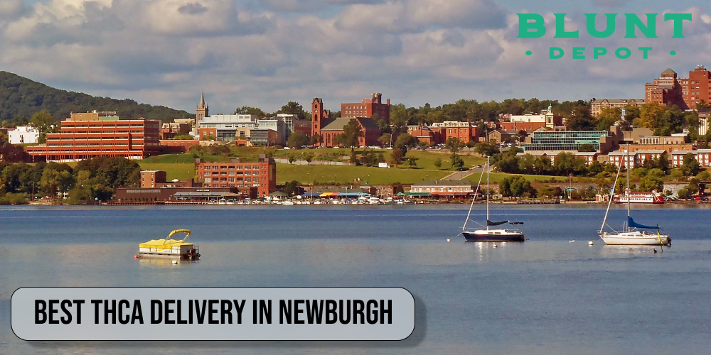 Best THCA delivery in Newburgh