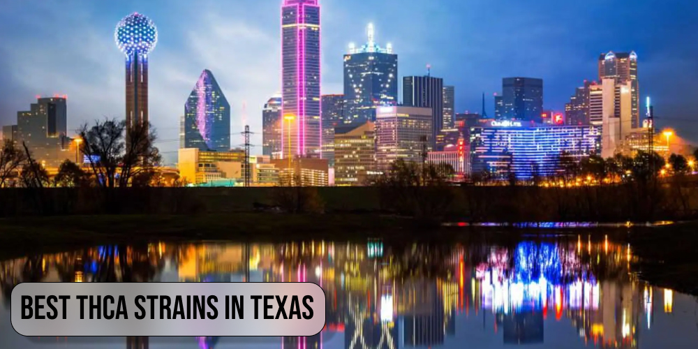 Best THCA strains in Texas