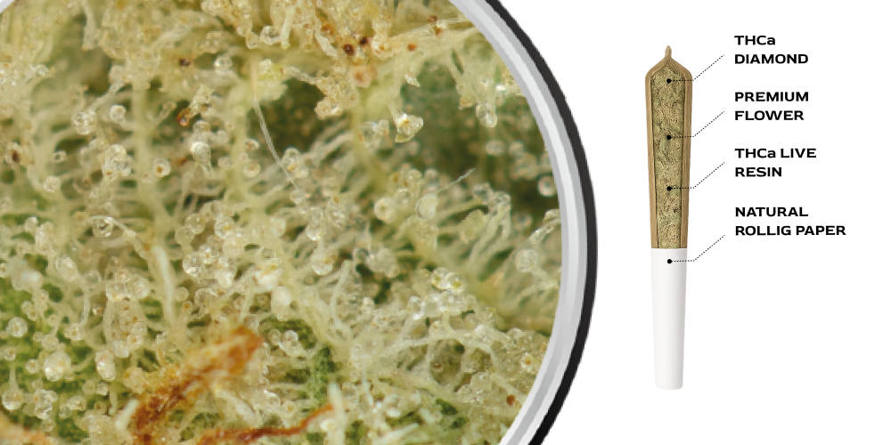 A split image: the left side shows a magnified view of cannabis trichomes, and the right side is a diagram of an infused joint's layered components.