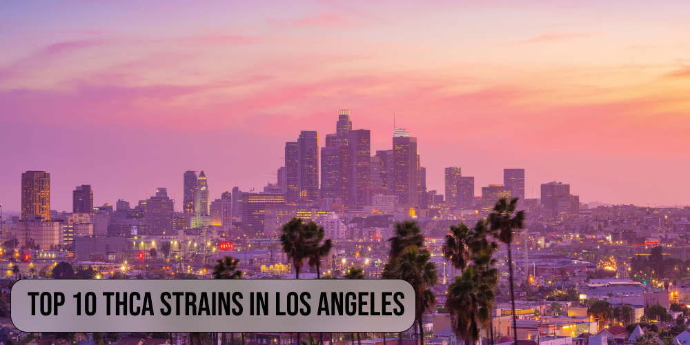 Top 10 THCA strains in Los Angeles
