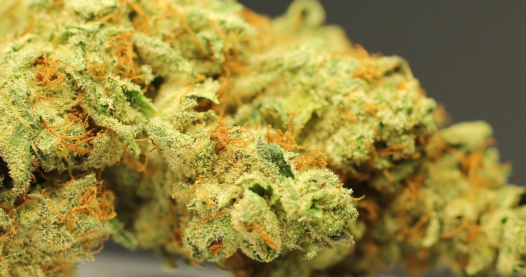 An extreme close-up, macro photo of a dried cannabis bud. The image shows the texture and color of the bud, with its light green foliage and prominent, fuzzy orange pistils.