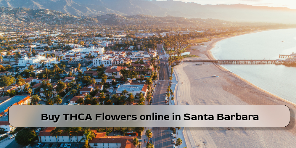 Buy THCA Flowers online in Santa Barbara