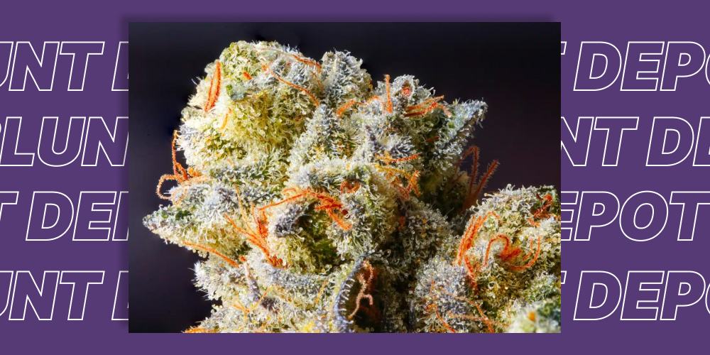 Buy THCA Flowers online in Santa Barbara