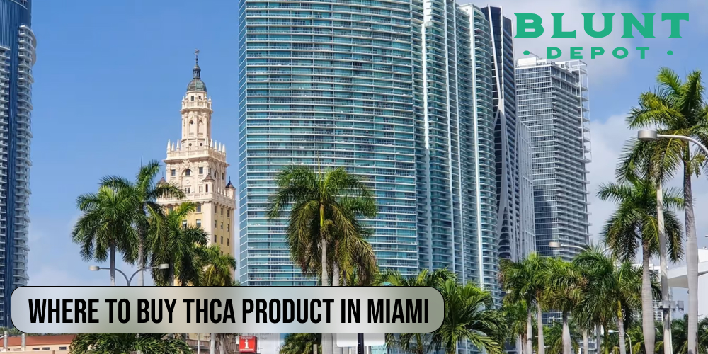 Where to buy THCA product in Miami