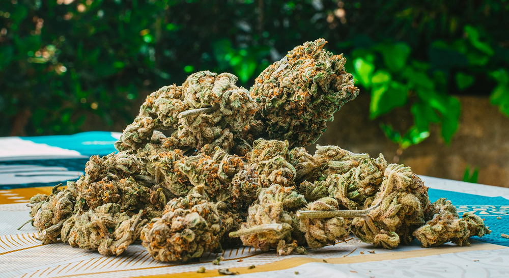 A generous pile of dried cannabis buds, showcasing their texture and color.