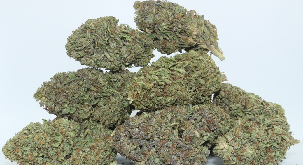 A mound of dried and cured cannabis buds on a white surface.