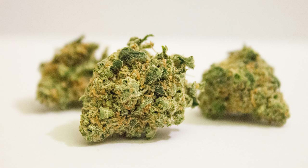 Three cured cannabis buds on a white background.