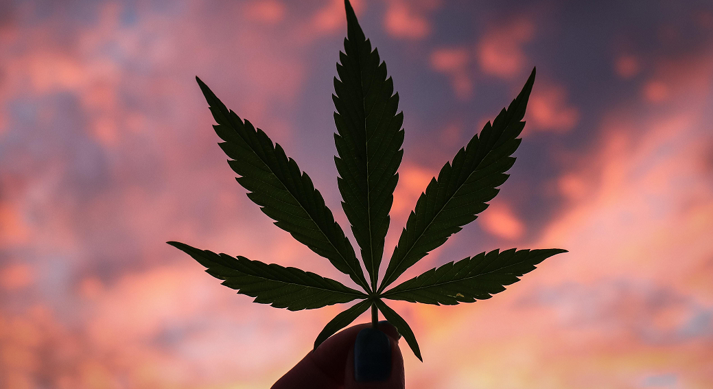A close-up shot of a hand holding up a cannabis leaf, silhouetted against a beautiful, cloudy pink and purple sunset sky. The detail of the leaf's serrated edges and distinct shape is clear.