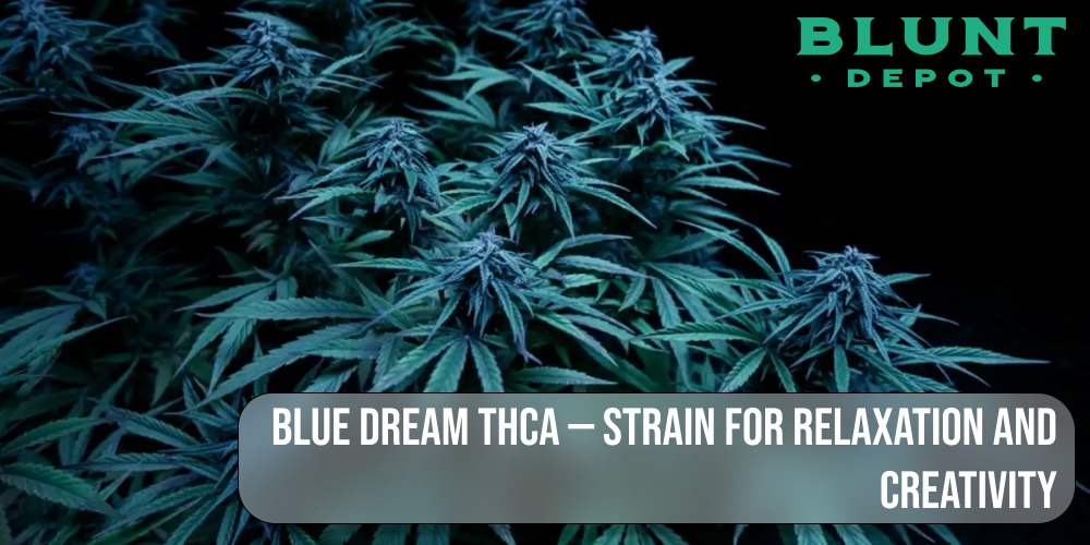 Blue Dream THCA — Strain for Relaxation and Creativity