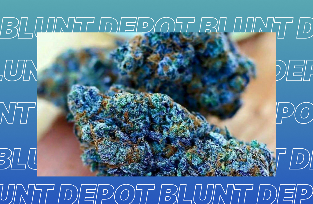 Two dense, trichome-covered cannabis buds displaying blue and purple hues