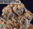 Donny Burger THCA weed strain