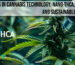 Innovations in Cannabis Technology_ Nano-THCA, Extraction, and Sustainable Production
