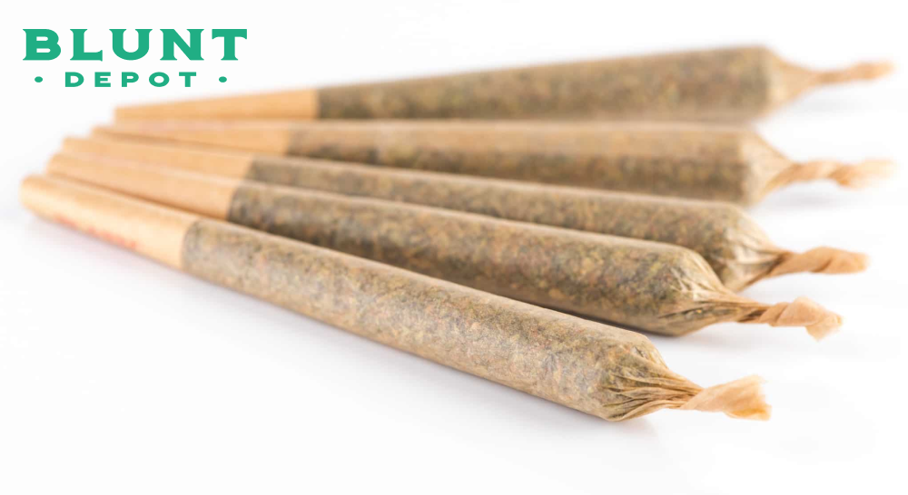 A close-up, low-angle shot of five tightly packed cannabis pre-rolls lined up with twisted ends.