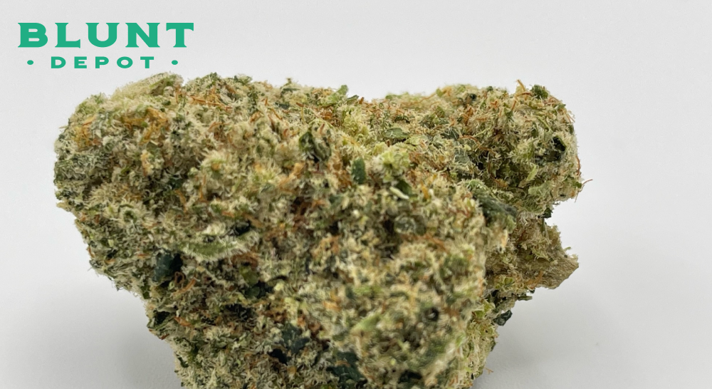 Extreme close-up of a dense cannabis flower covered in white frosty trichomes