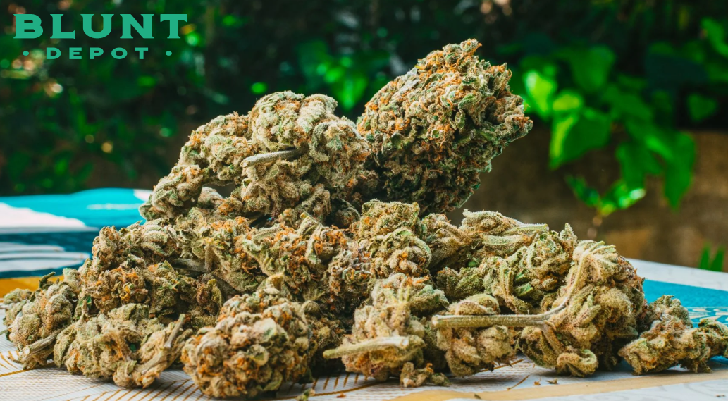 Large pile of high-quality cannabis flower buds with visible trichomes and orange hairs