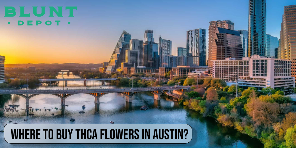 Where to buy THCA flowers in Austin?
