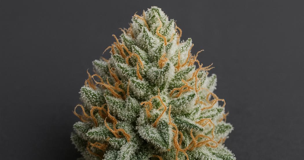 AI Generated Image: Macro close-up of cannabis bud covered in milky crystalline trichomes on matte charcoal background