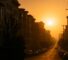 AI Generated Image: Golden hour street-level view of a clean urban San Francisco streetscape with planter silhouette and warm cinematic lighting