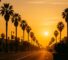 AI Generated Image: Golden hour street-level view of a clean Southern California city streetscape with leading lines and planter silhouette in warm cinematic light