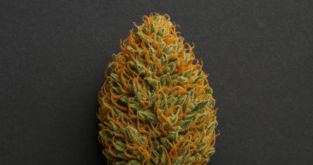 AI Generated Image: Top-down macro image of drying cannabis flower with curling orange pistils and crystal-coated surface on charcoal background.